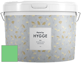 HYGGE Paint Aster интерьерная краска цвет NCS S 0560-G10Y 