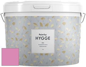 HYGGE Paint Aster интерьерная краска цвет NCS S 1050-R30B 