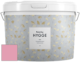 HYGGE Paint Aster интерьерная краска цвет NCS S 1040-R20B 