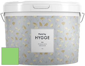 HYGGE Paint Aster интерьерная краска цвет NCS S 0560-G20Y 