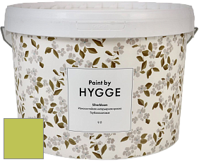 HYGGE Paint Silverbloom интерьерная краска цвет NCS S 1060-G50Y 