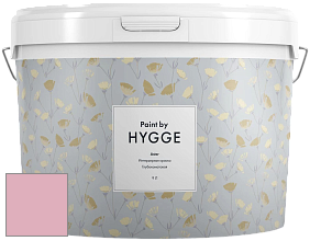 HYGGE Paint Aster интерьерная краска цвет NCS S 1030-R20B 
