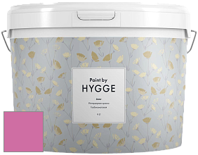 HYGGE Paint Aster интерьерная краска цвет NCS S 1060-R30B 