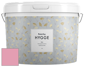 HYGGE Paint Aster интерьерная краска цвет NCS S 1040-R20B 