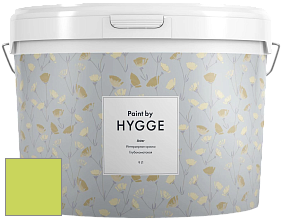 HYGGE Paint Aster интерьерная краска цвет NCS S 0560-G50Y 