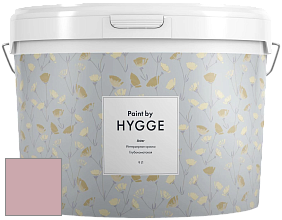 HYGGE Paint Aster интерьерная краска цвет NCS S 2020-R10B 