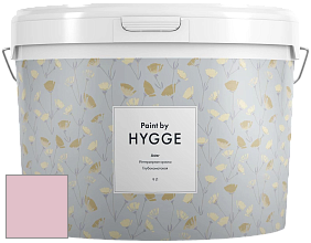 HYGGE Paint Aster интерьерная краска цвет NCS S 1020-R20B 