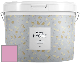 HYGGE Paint Aster интерьерная краска цвет NCS S 1040-R30B 