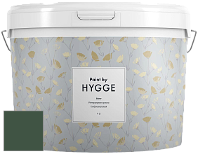 HYGGE Paint Aster интерьерная краска цвет NCS S 7020-G10Y 