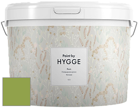 HYGGE Paint Fleurs интерьерная краска цвет NCS S 2060-G40Y 