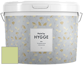 HYGGE Paint Aster интерьерная краска цвет NCS S 1030-G50Y 