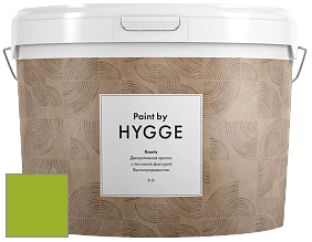 HYGGE Paint Kvarts декоративная краска цвет NCS S 1075-G40Y 