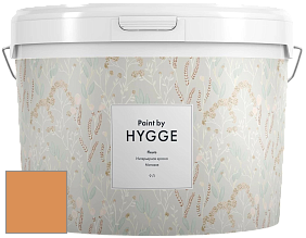 HYGGE Paint Fleurs интерьерная краска цвет NCS S 2050-Y30R 