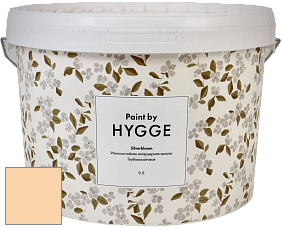 HYGGE Paint Silverbloom интерьерная краска цвет NCS S 0520-Y30R 