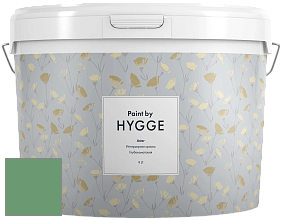 HYGGE Paint Aster интерьерная краска цвет NCS S 3040-G10Y 