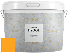 HYGGE Paint Aster интерьерная краска цвет RAL 2007 