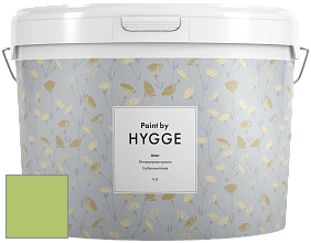 HYGGE Paint Aster интерьерная краска цвет NCS S 1050-G40Y 