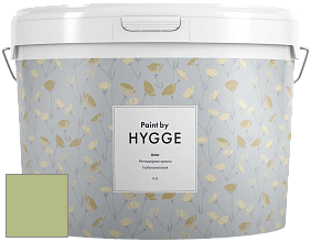 HYGGE Paint Aster интерьерная краска цвет NCS S 2030-G50Y 