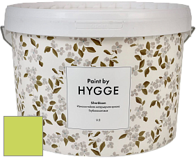 HYGGE Paint Silverbloom интерьерная краска цвет NCS S 0560-G50Y 