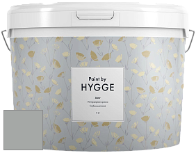 HYGGE Paint Aster интерьерная краска цвет RAL 9006 