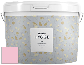 HYGGE Paint Aster интерьерная краска цвет NCS S 0530-R20B 